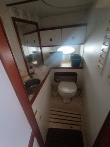 DRACOMAR TANGA 990 · foto 7