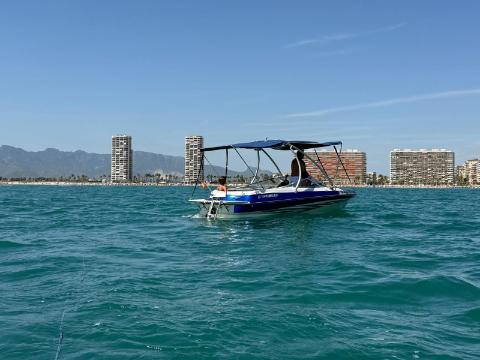 FOURWINS 550 OPEN · foto 4